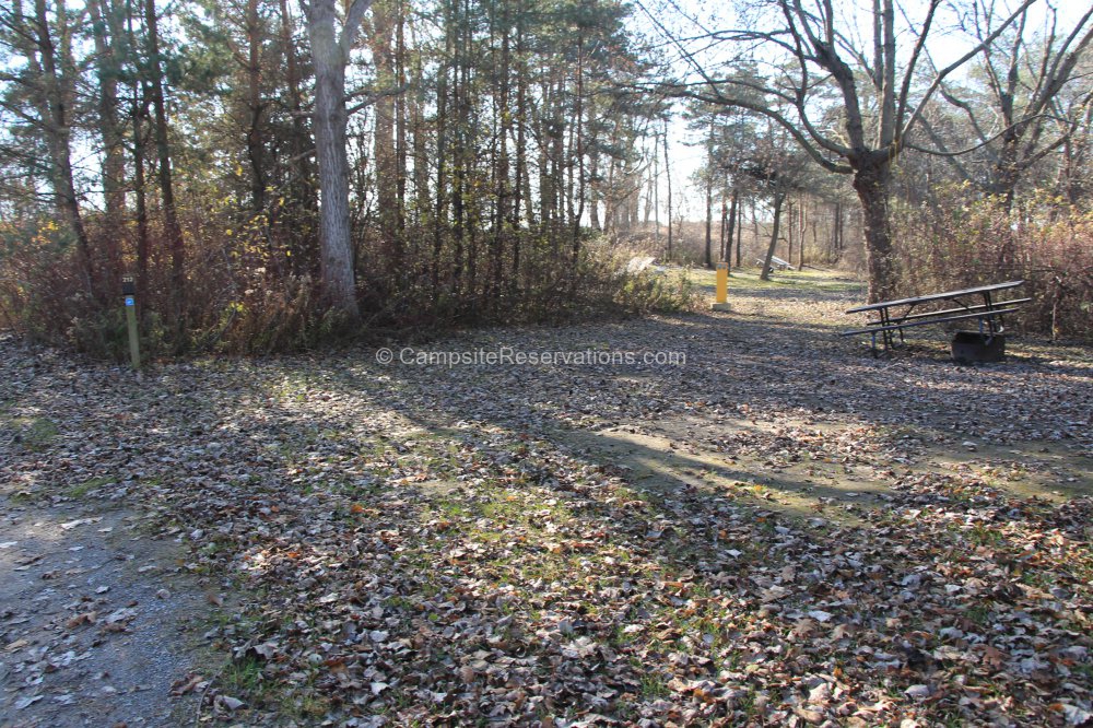 Photo Of Campsite 212 In Cottonwood Campground At Long Point Provincial