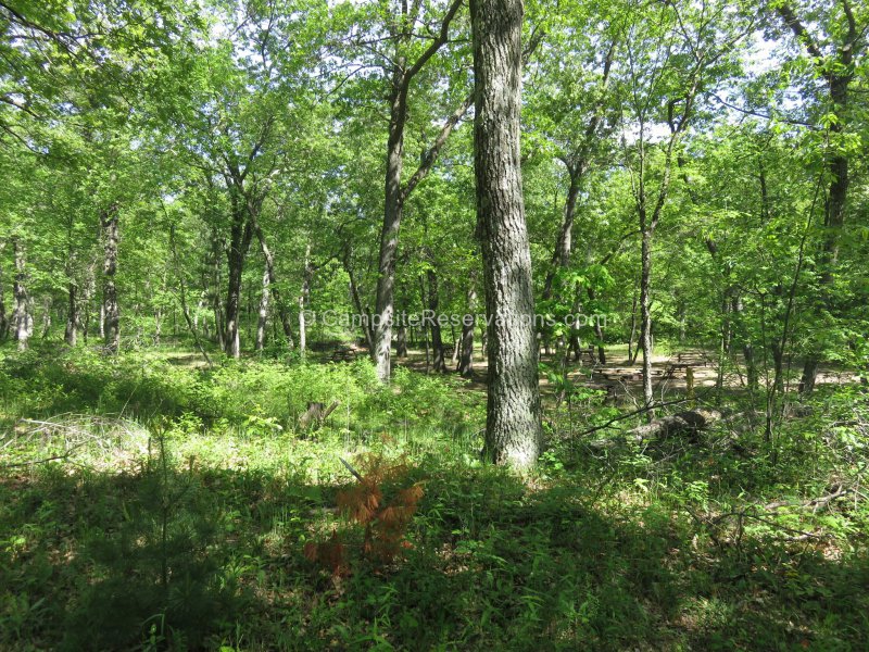 Group Campground at The Pinery Provincial Park, Ontario, Canada