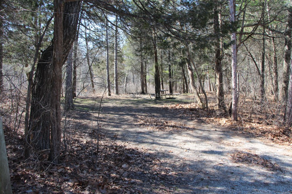 Photo Of Campsite 178 In Dunes Campground At The Pinery Provincial Park Ontario Canada