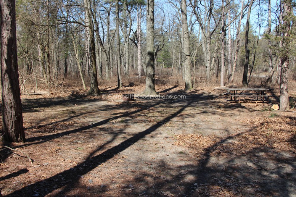 Photo Of Campsite 203 In Dunes Campground At The Pinery Provincial Park Ontario Canada