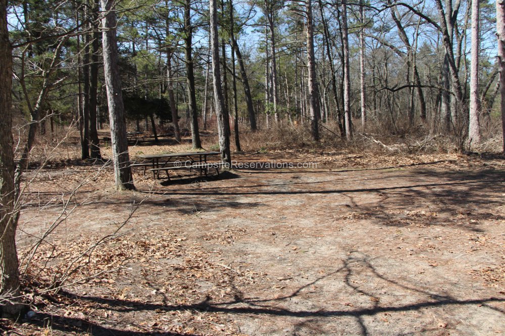 Campsite 231 In Dunes Campground At The Pinery Provincial Park Ontario Canada Campsite Type