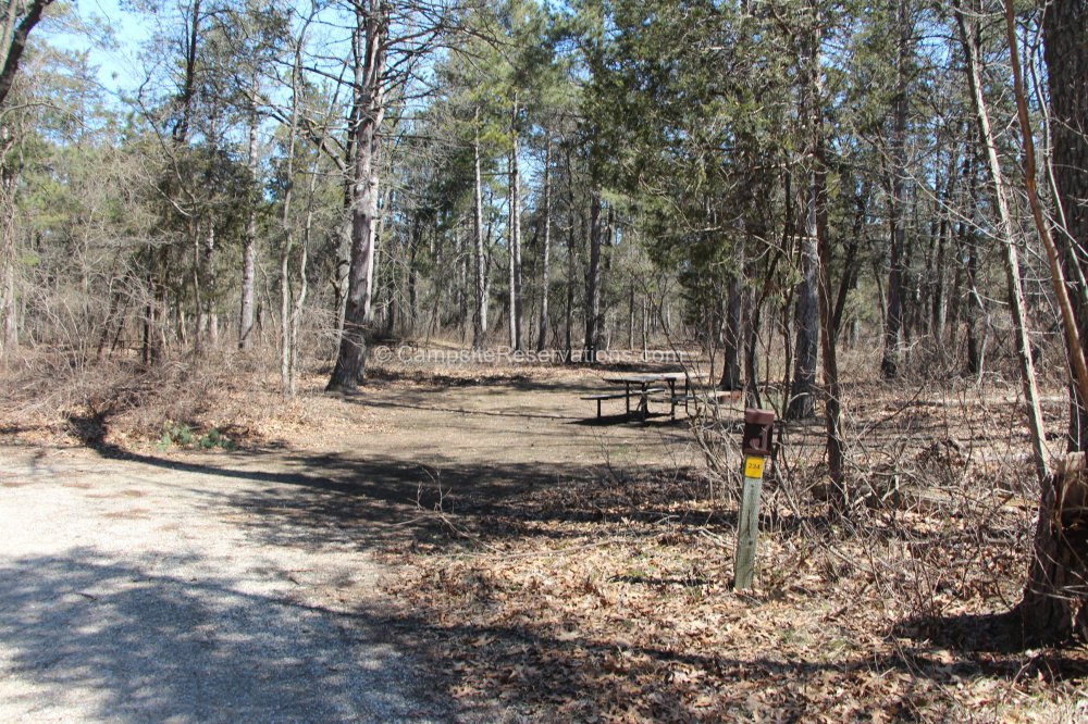 Photo of Campsite 234 in Dunes Campground at The Pinery Provincial Park ...