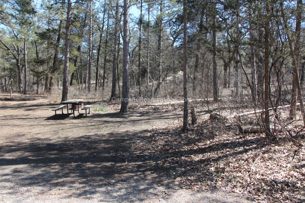 Photo of Campsite 234 in Dunes Campground at The Pinery Provincial Park ...