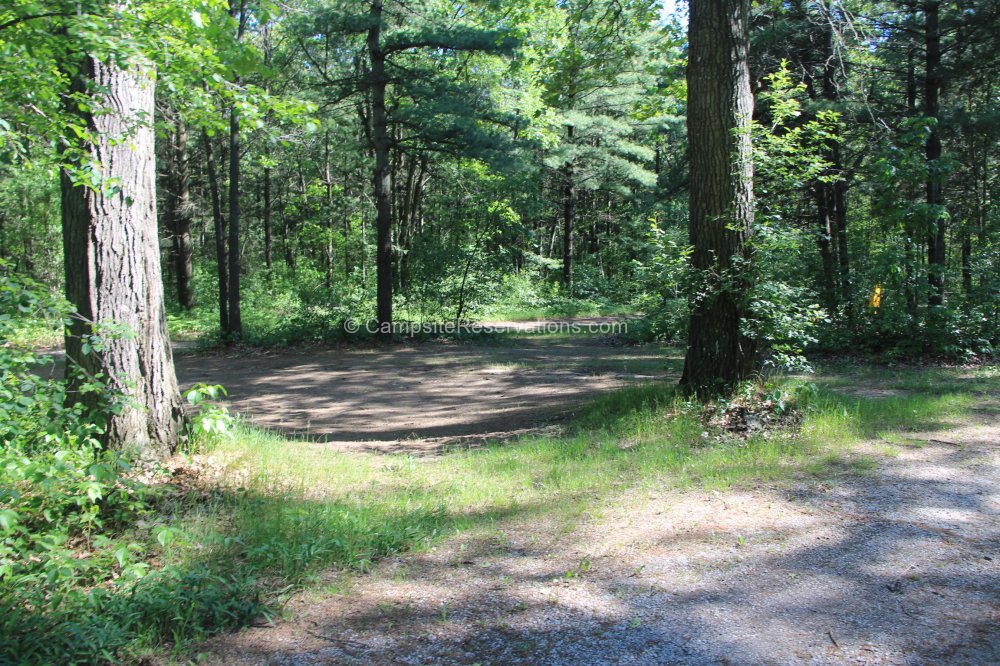 Escape to the Pines: Your Guide to Pinery Canyon Campground