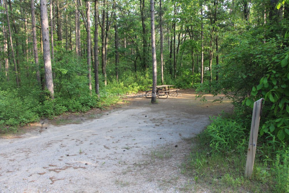 Photo Of Campsite 719A In Riverside Campground At The Pinery Provincial   The Pinery Provincial Park Riverside Campground Campsite 719A 719A SID70185 