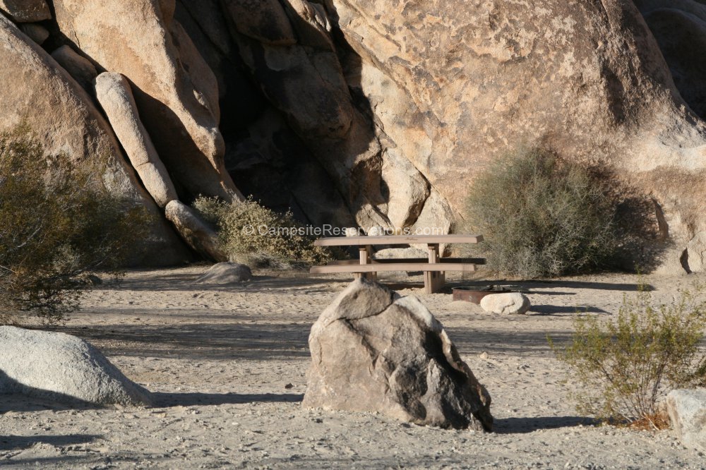 indian cove campground joshua tree reviews