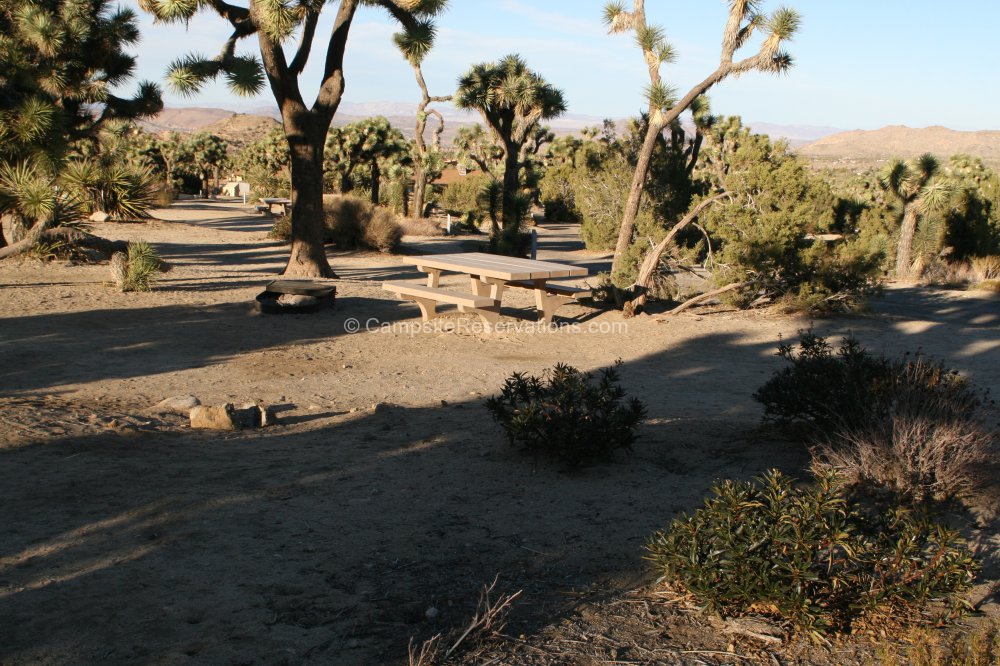 black rock campground joshua tree reviews