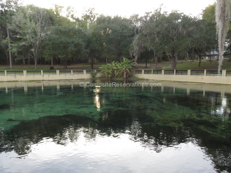 National Forests in Florida - Salt Springs Recreation Area