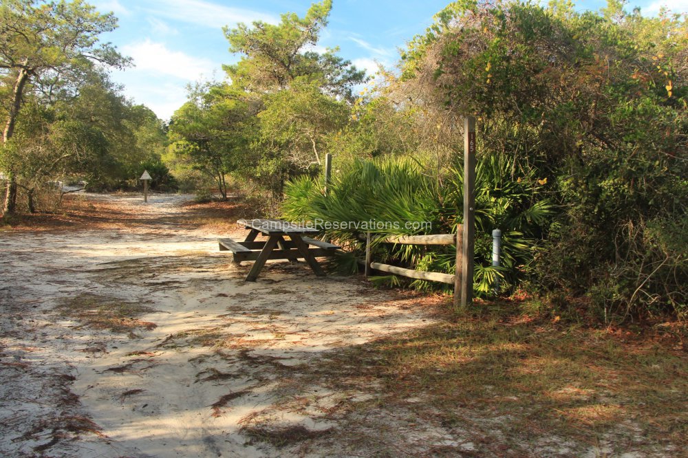 Campsite 165 in St. Andrews State Park Campground at St. Andrews State ...