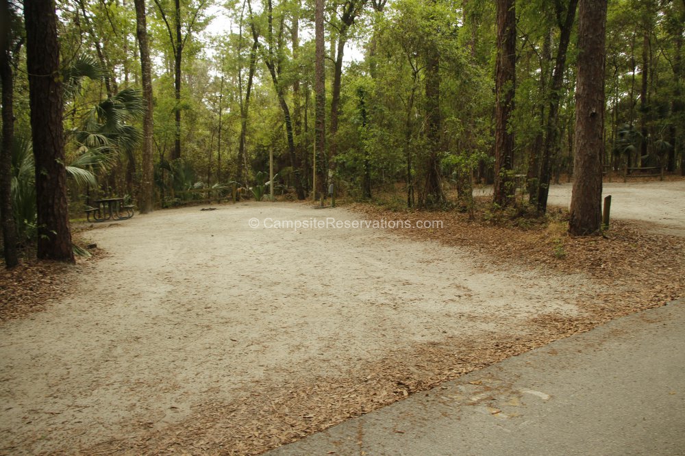 Photo of Campsite 35 in Wekiwa Springs State Park Campground at Wekiwa ...