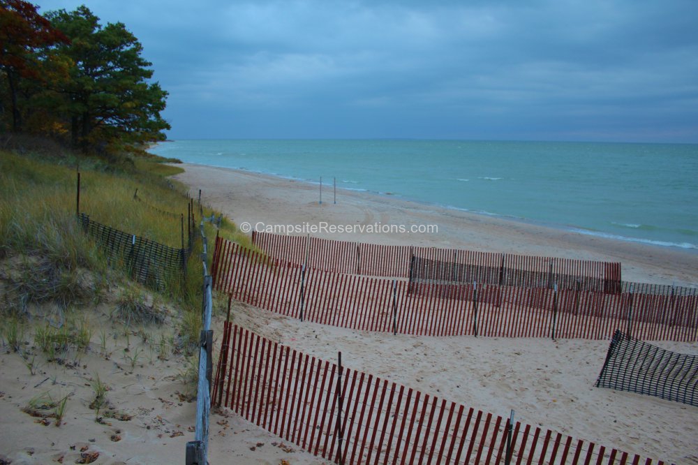 are dogs allowed at sleeper state park beach