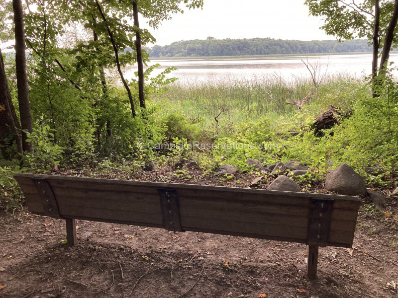 Escape to Serenity: Unveiling the Enchanting Rice Lake State Park in Minnesota