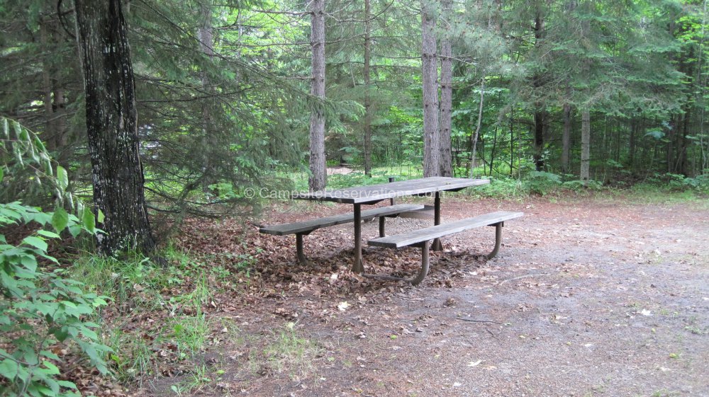 Photo of Campsite 49 in Chase Point Campground at Scenic State Park ...