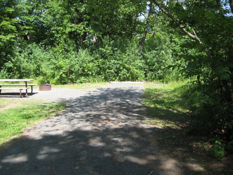 Campsite 107 in Savanna Campground at William O'Brien State Park ...