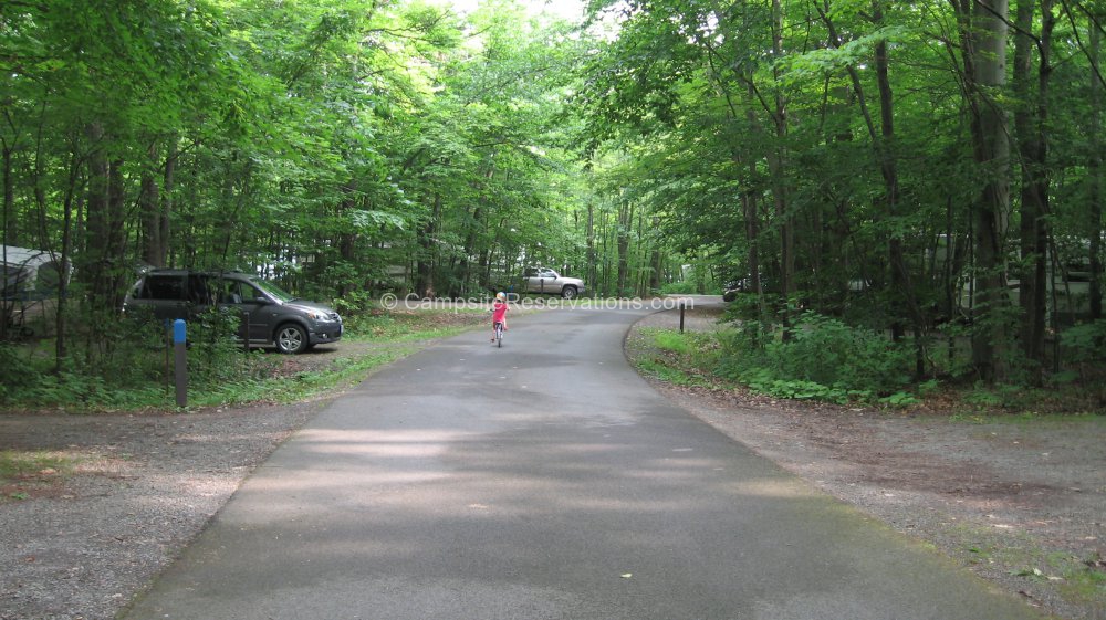 Lakeside Bliss: Your Guide to New York's Lakeside Beach State Park