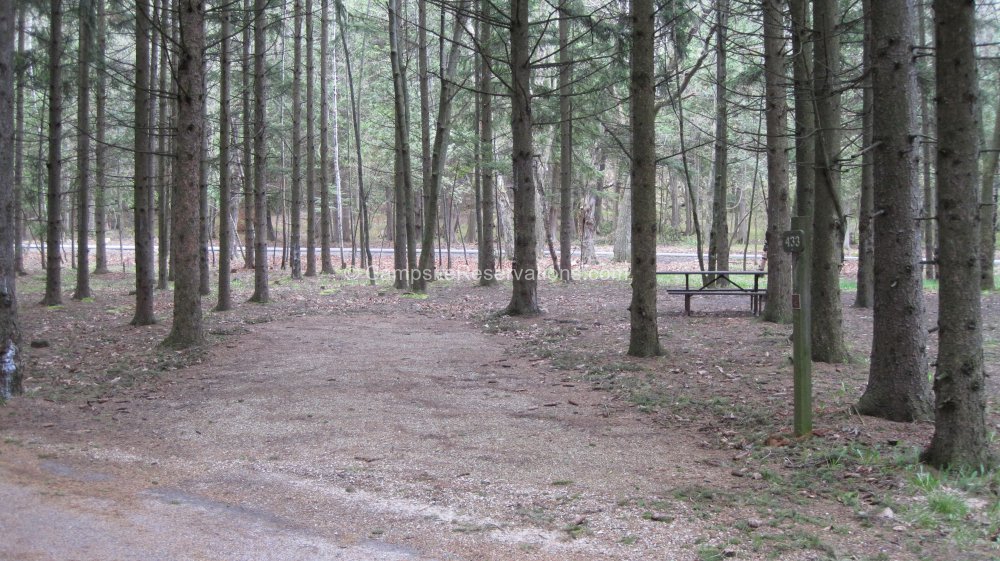 Photo Of Campsite 433 In Tennison Bay Campground At Peninsula State 