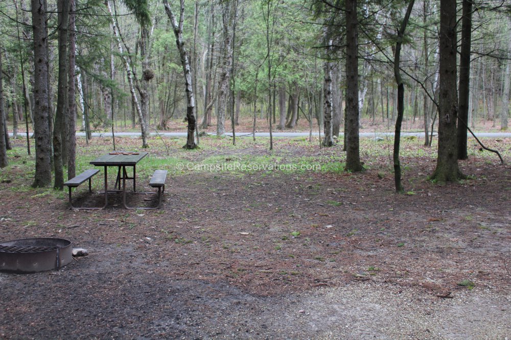 Photo Of Campsite 467 In Tennison Bay Campground At Peninsula State 