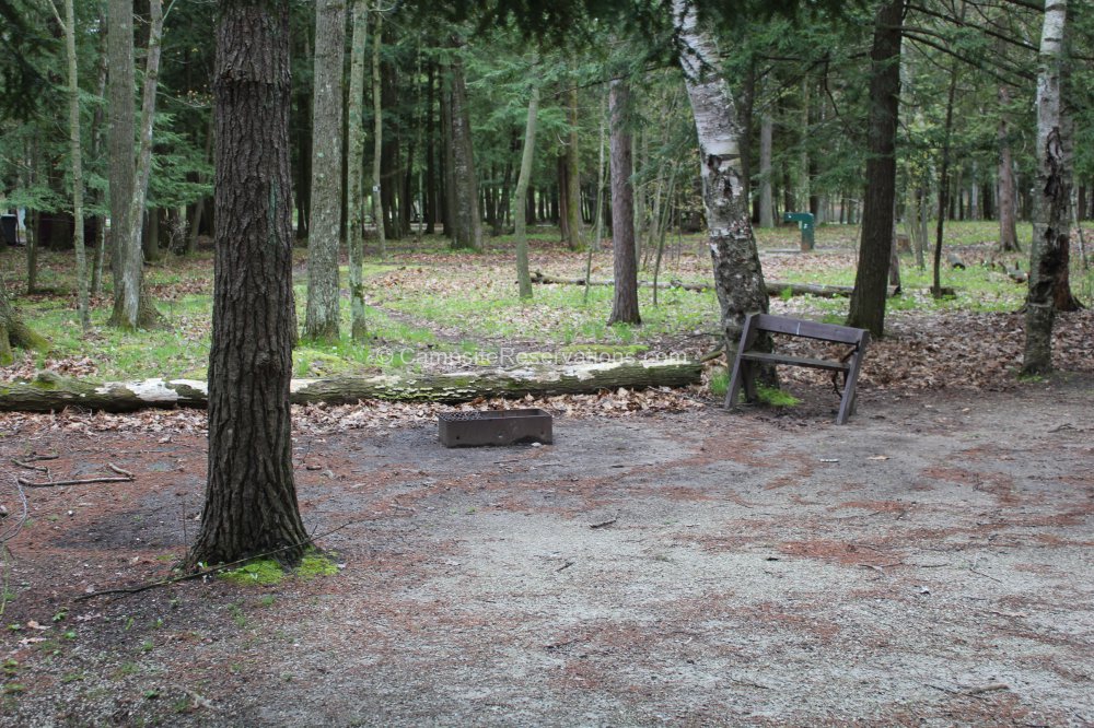 Photo of Campsite 085 in Daisy Field North Campground at Potawatomi ...