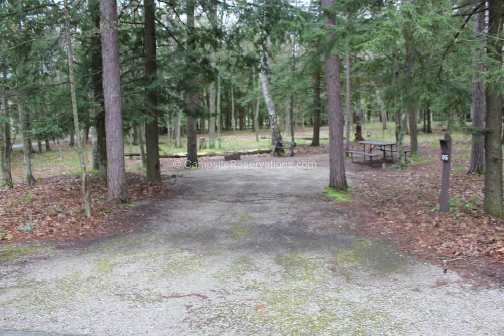 Photo of Campsite 085 in Daisy Field North Campground at Potawatomi ...