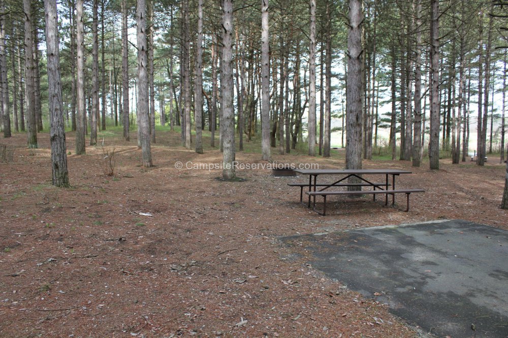 Campsite 101 in Kohler-Andrae State Park Campground at Kohler-Andrae ...