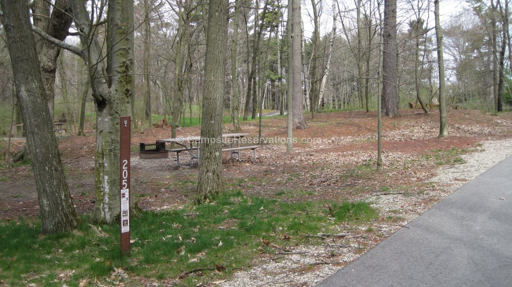 Campsite 205 in Kohler-Andrae State Park Campground at Kohler-Andrae ...